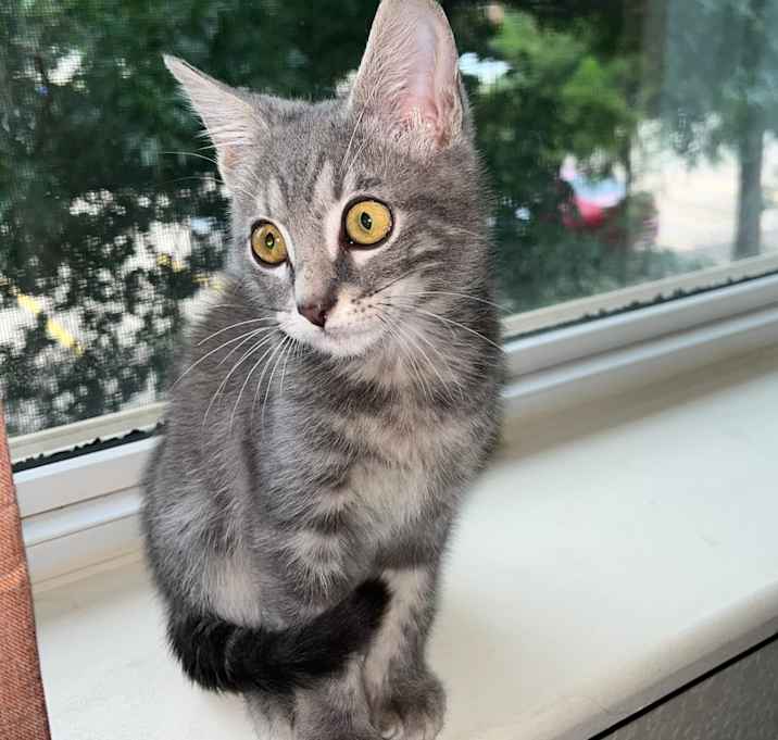 Photo of Quincy
