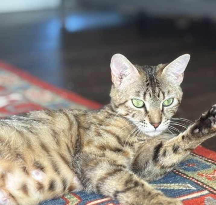 Photo of Sunny