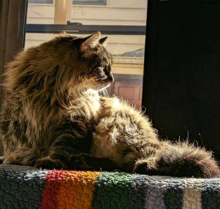 Photo of Spudly Von Waddlesworth