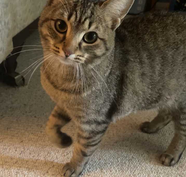 Photo of DJ Snickers