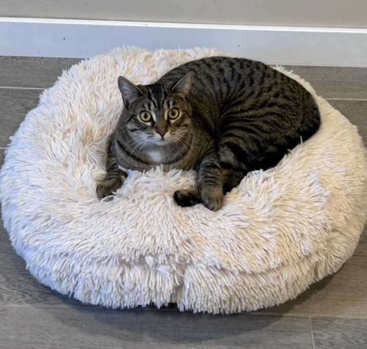 Photo of Susie