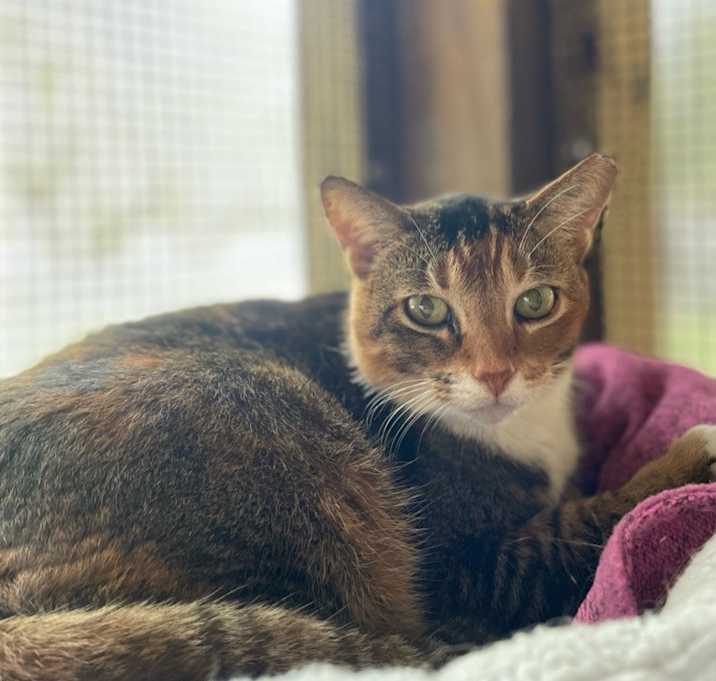 Photo of Miss Kay