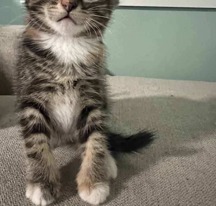 Photo of Stormy