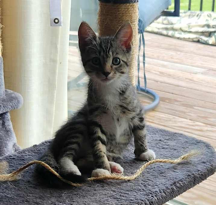 Photo of Woody