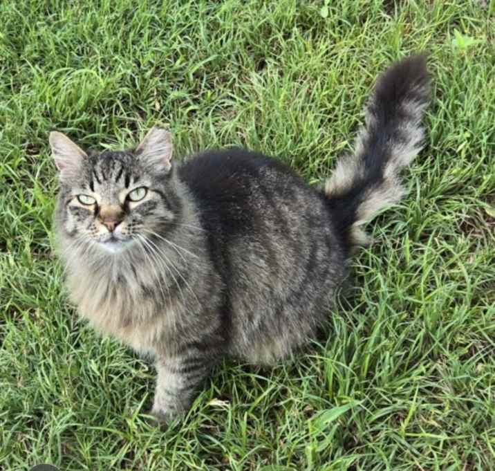 Photo of Maggie