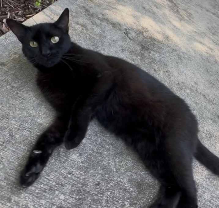 Photo of Abraxos