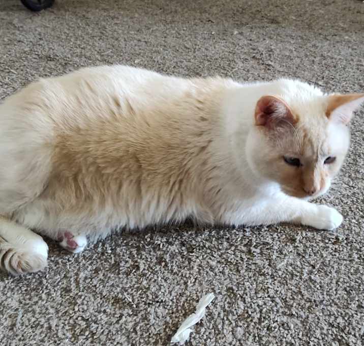 Photo of Fang