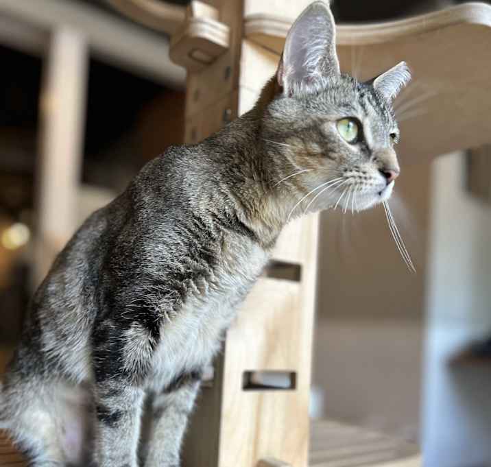 Photo of Elsie