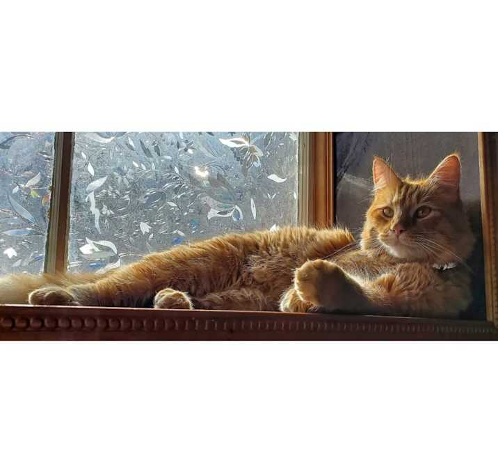 Photo of Oliver