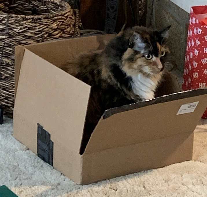 Photo of Lily