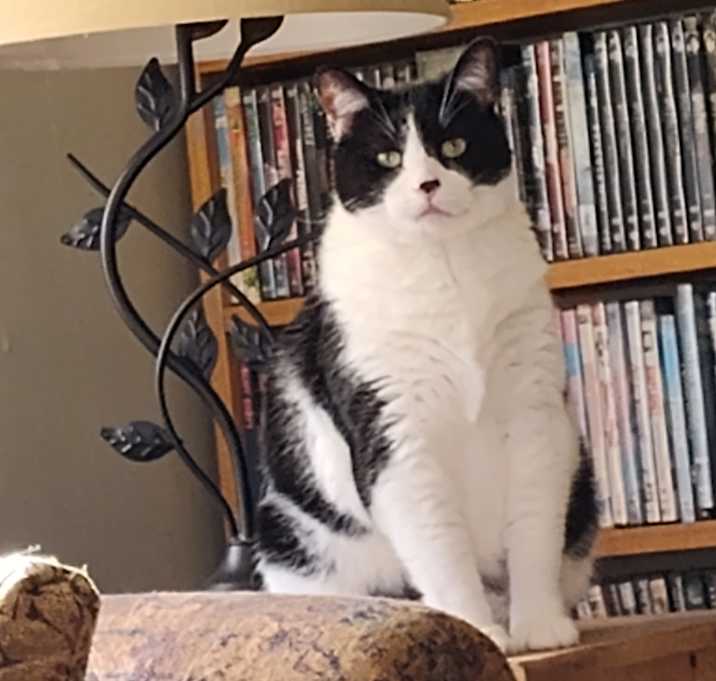 Photo of Sammy