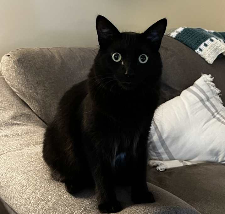 Photo of Bitty