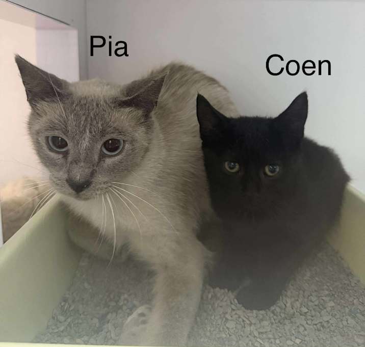 Photo of Pia