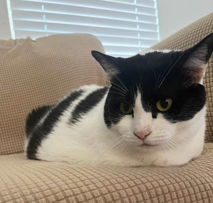 Photo of Todd