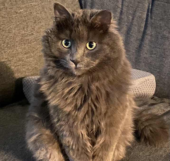 Photo of Rocket