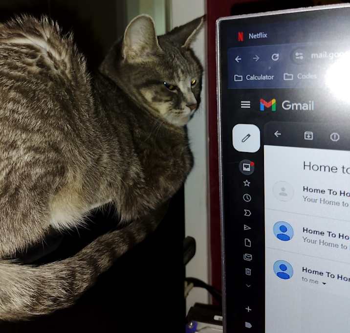 Photo of Sophie