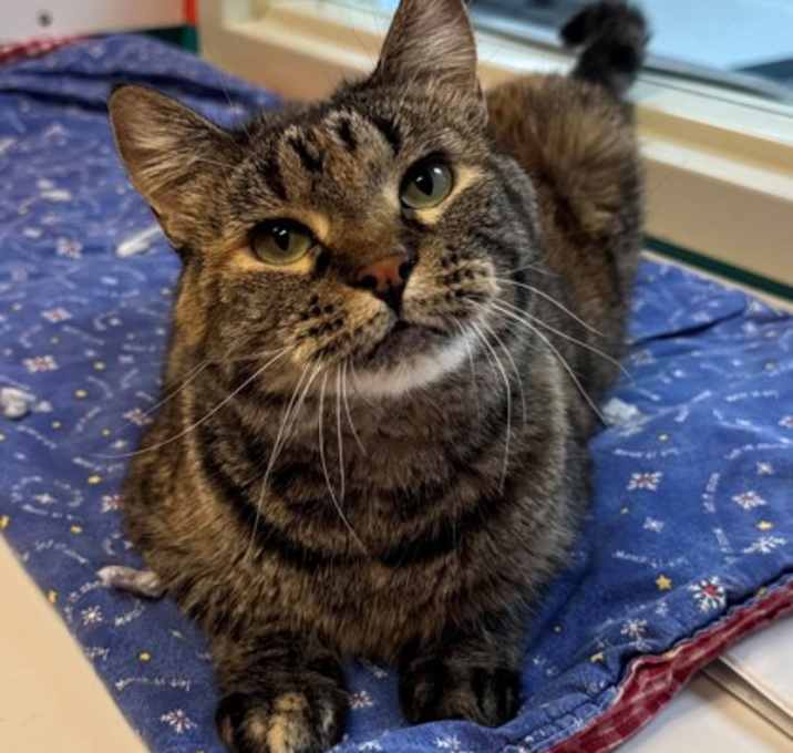 Photo of Opera