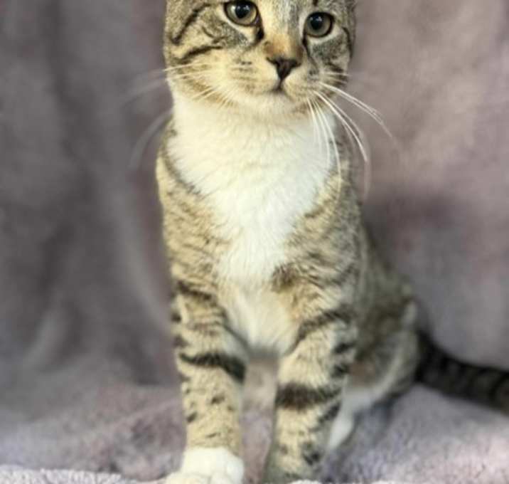 Photo of Seph
