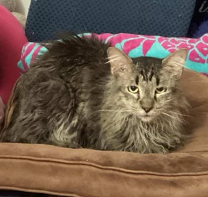 Photo of Razzamatazz