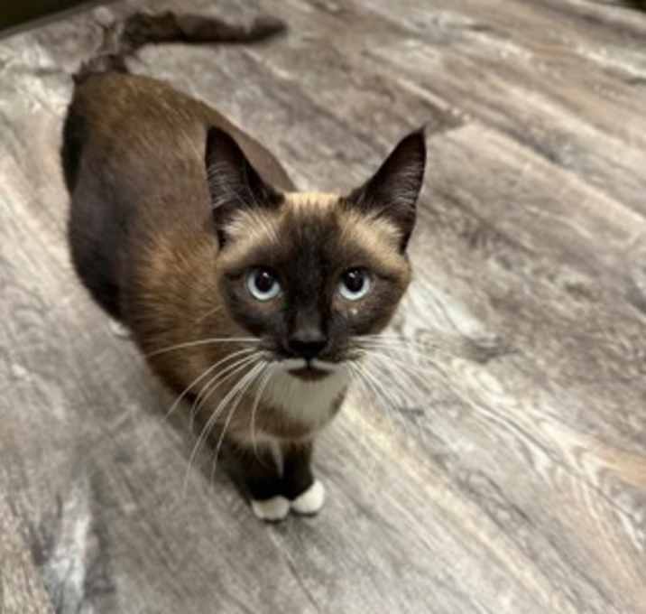 Photo of Sam