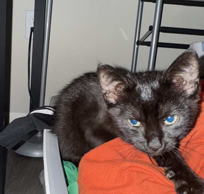 Photo of Princess