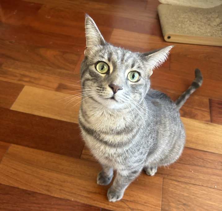 Photo of Pedro