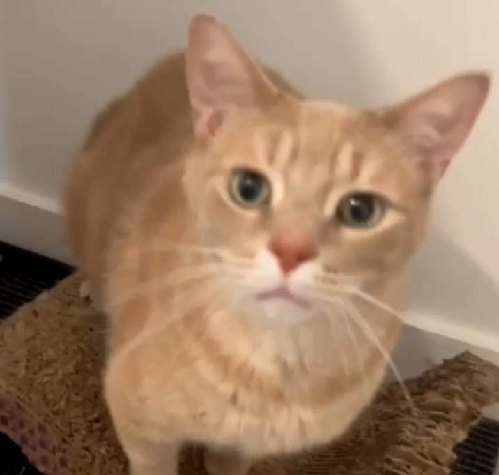 Photo of Charlie