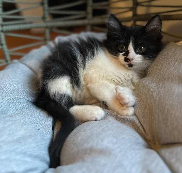Photo of Thumbelina