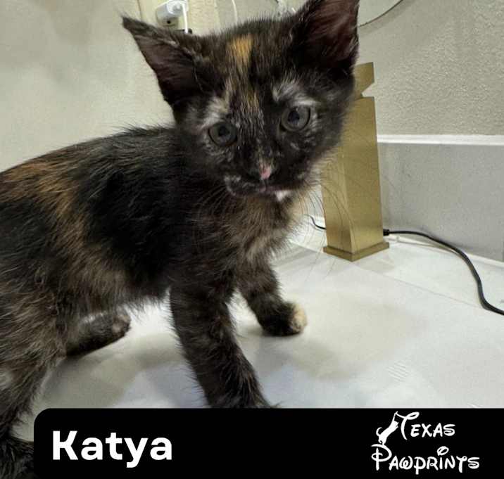 Photo of Katya