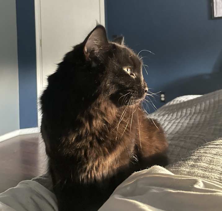 Photo of Ellie