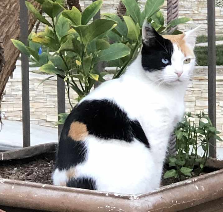 Photo of Frannie