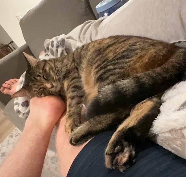 Photo of Luna