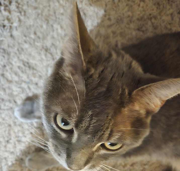 Photo of Andie