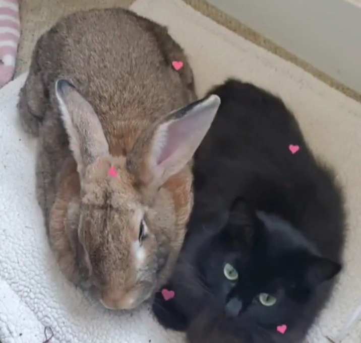 Photo of Beatrix