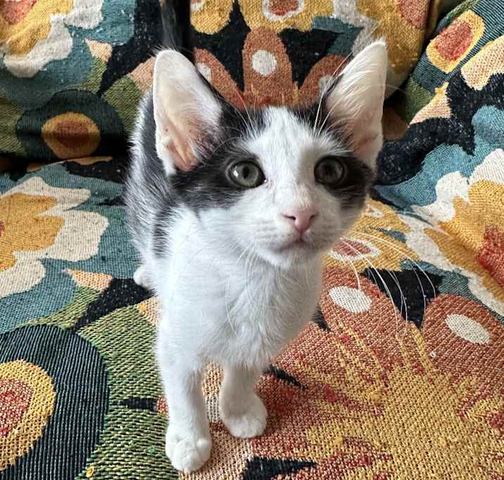 Photo of Skyrizzy (Sky)