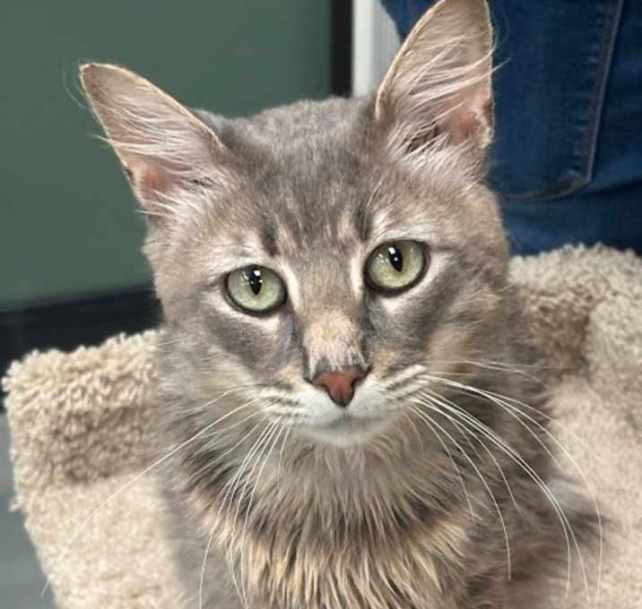 Photo of Romeo