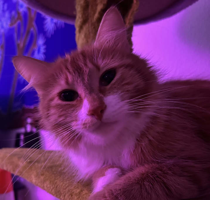 Photo of Arya