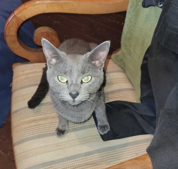 Photo of Baretta