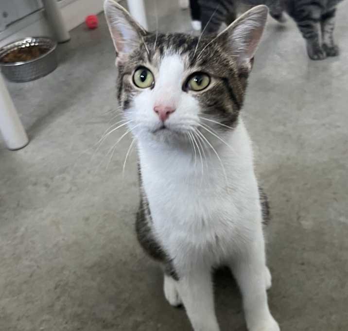 Photo of Harvey