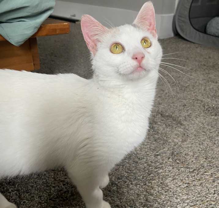 Photo of Brunie