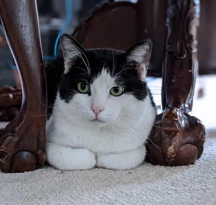 Photo of George