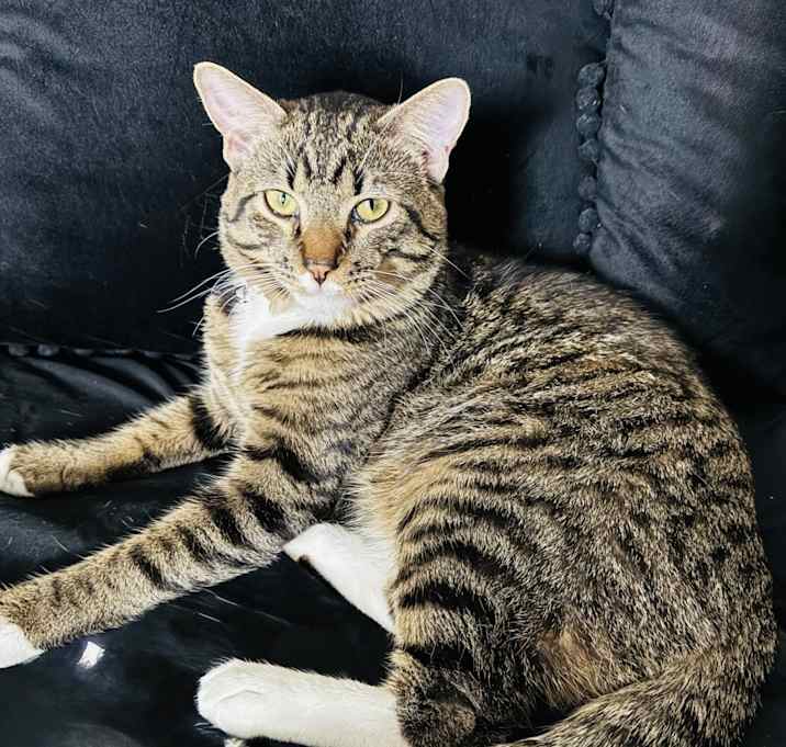 Photo of Blu