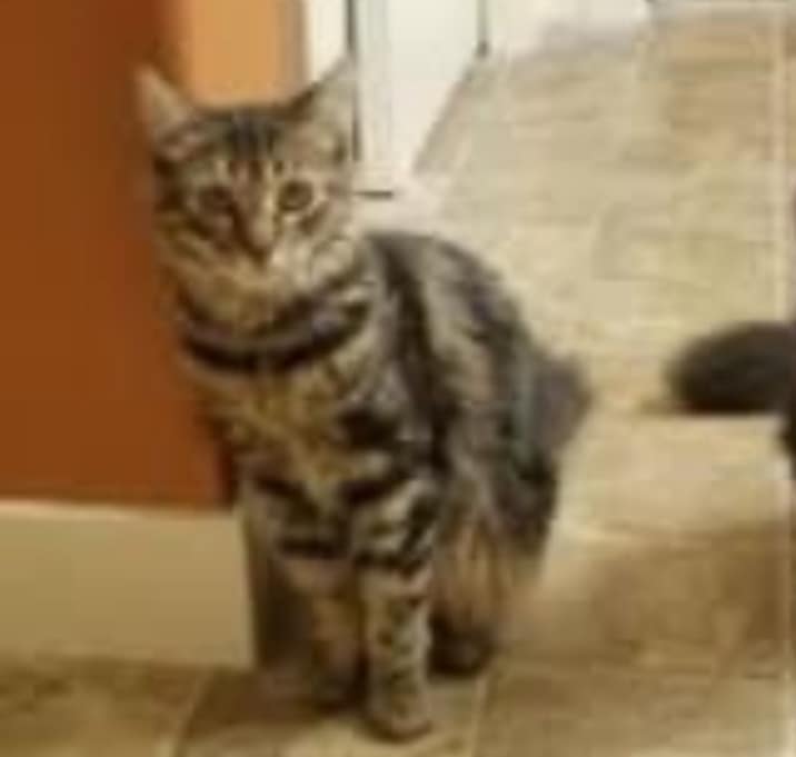 Photo of Sophie