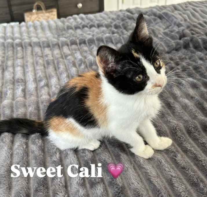 Photo of Cali