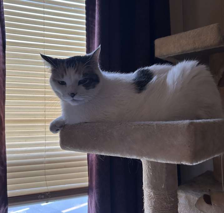 Photo of Abby