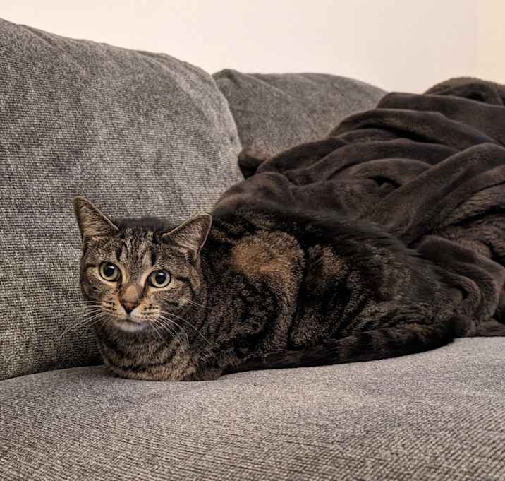Photo of Miss Bean