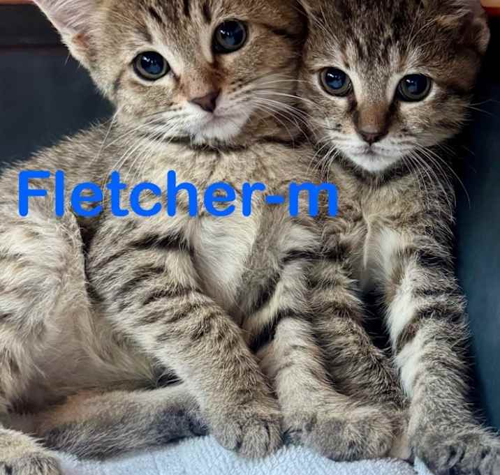 Photo of Fletcher 25