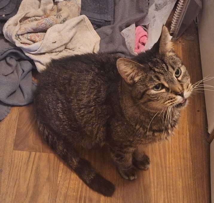 Photo of Smaug ( Maugy)