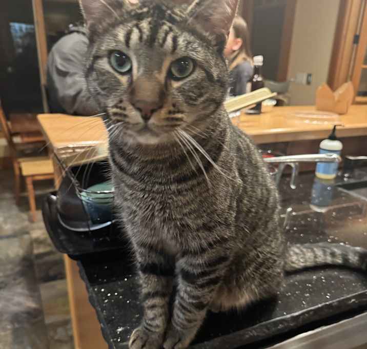 Photo of Hobbs