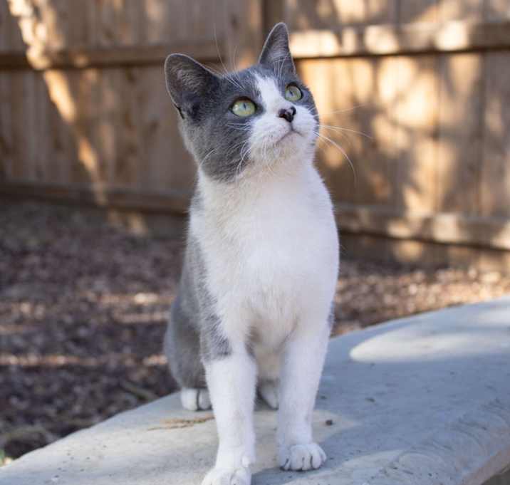 Photo of Tracy